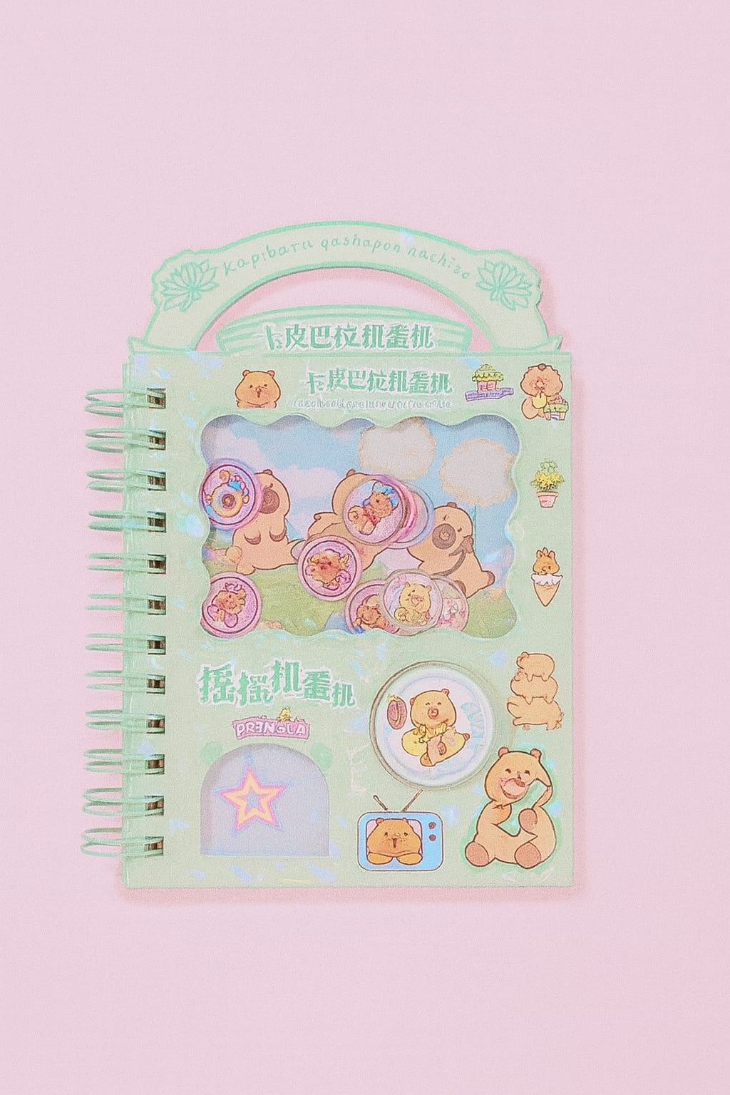 Twist  Spiral Pocket Diary with Stickers